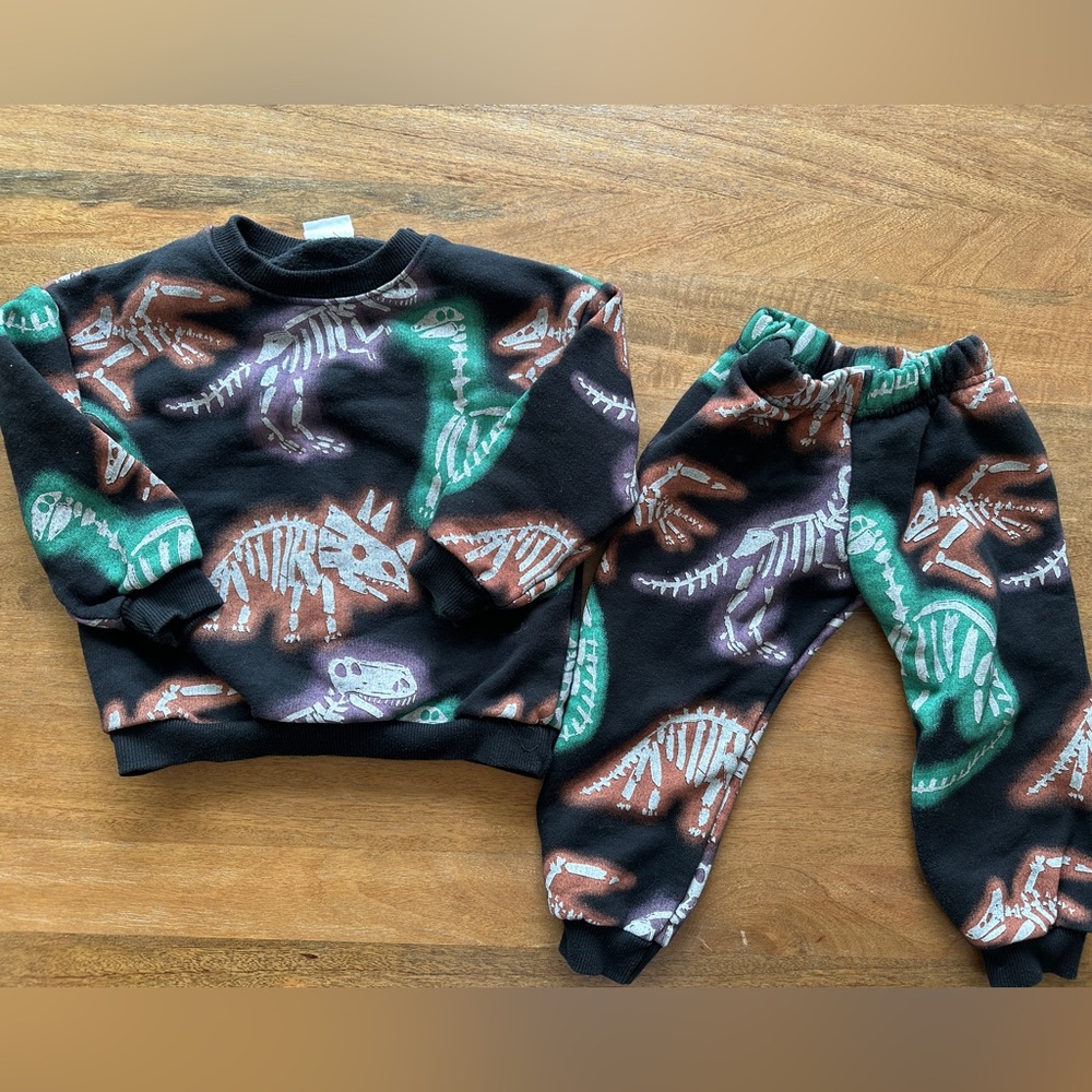 Zara 2-3t outfit